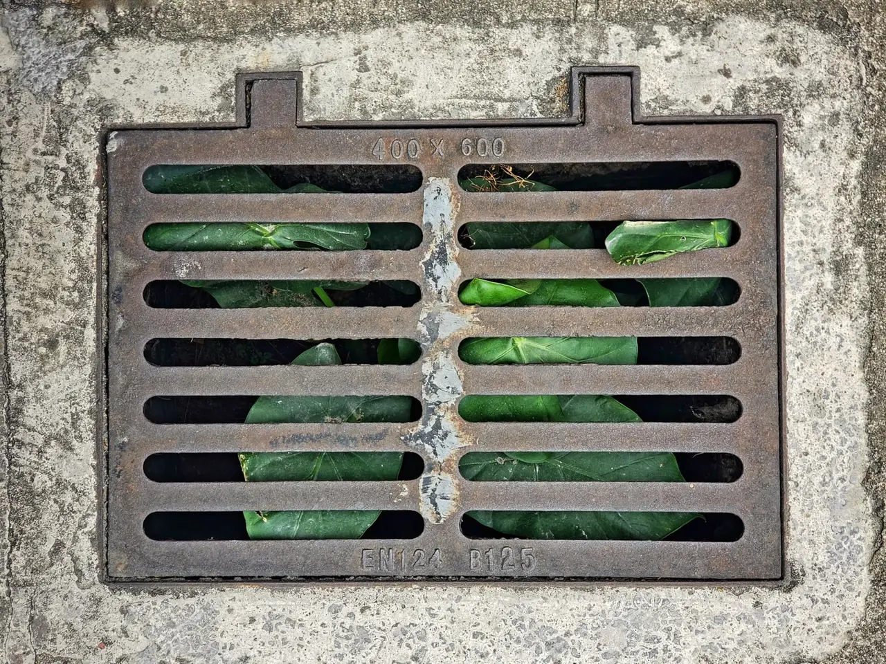 Drainage System Inspection